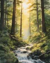 05